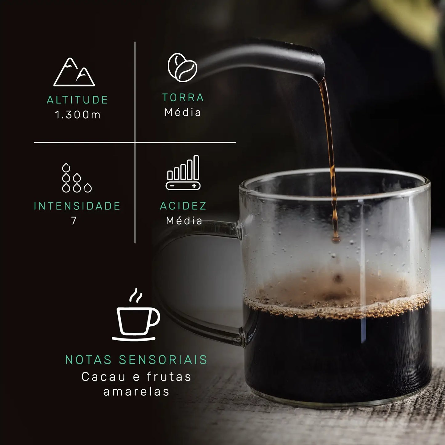 Atributos Café Especial Caparaó - Coffee Mais - Grãos