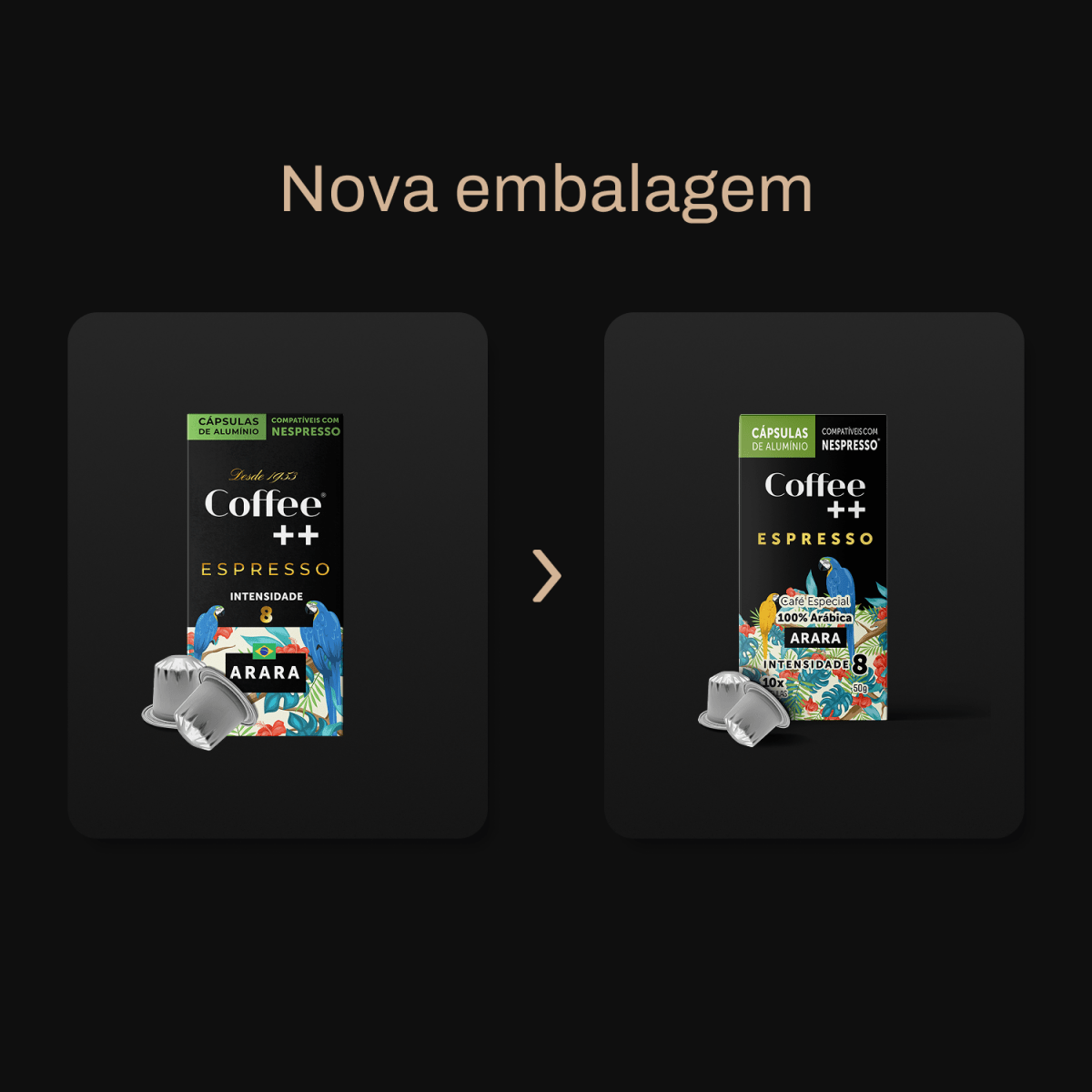 Café Arara | Cápsula - 10 Unidades - Coffee Mais
