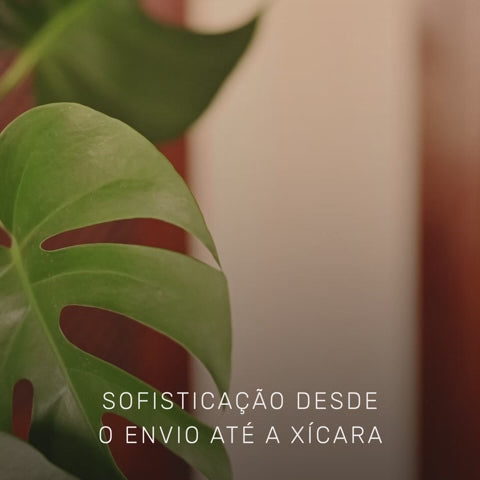 Video Café Especial Supercrema - Coffee Mais - Grãos