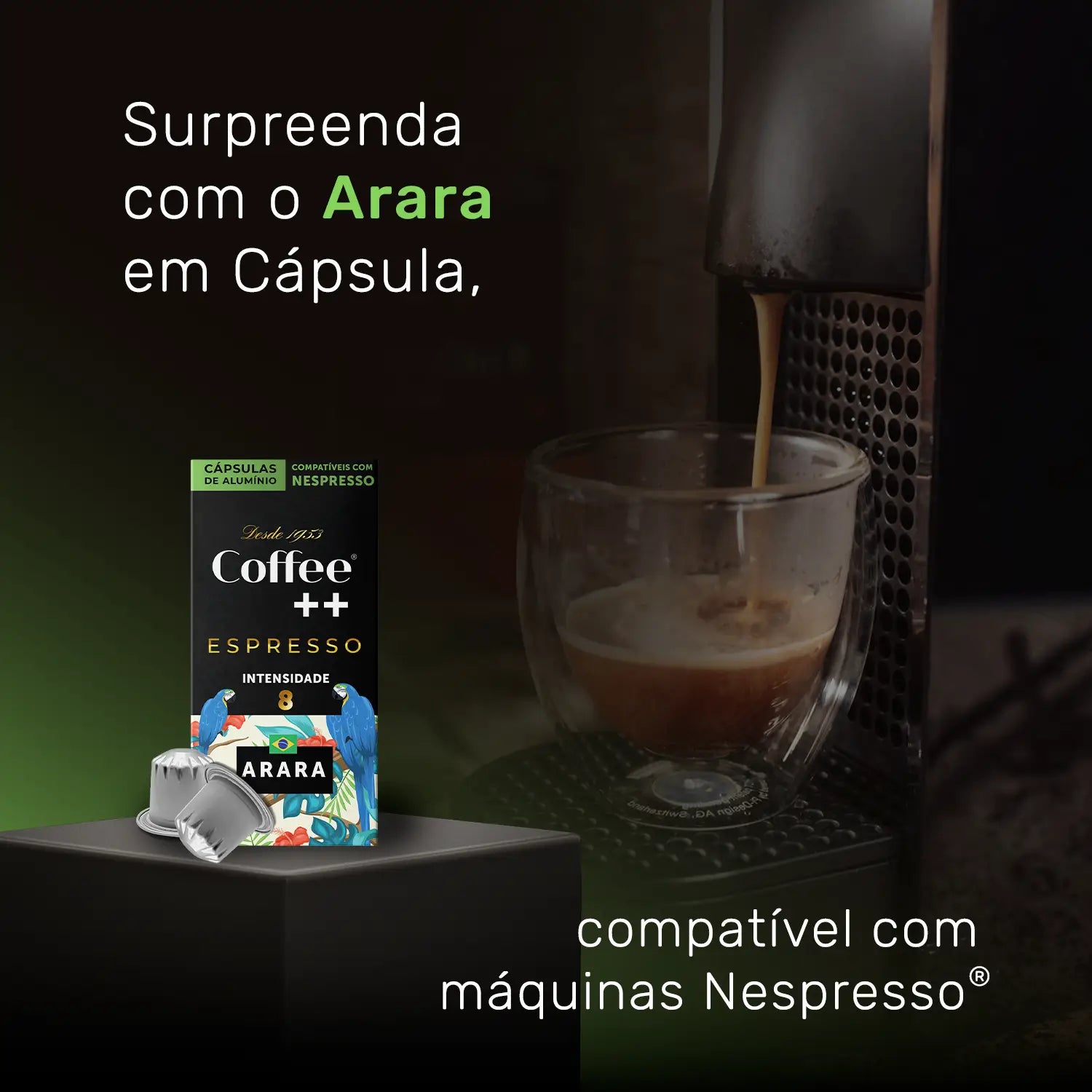 Café - Arara - Coffee Mais  - Cápsula
