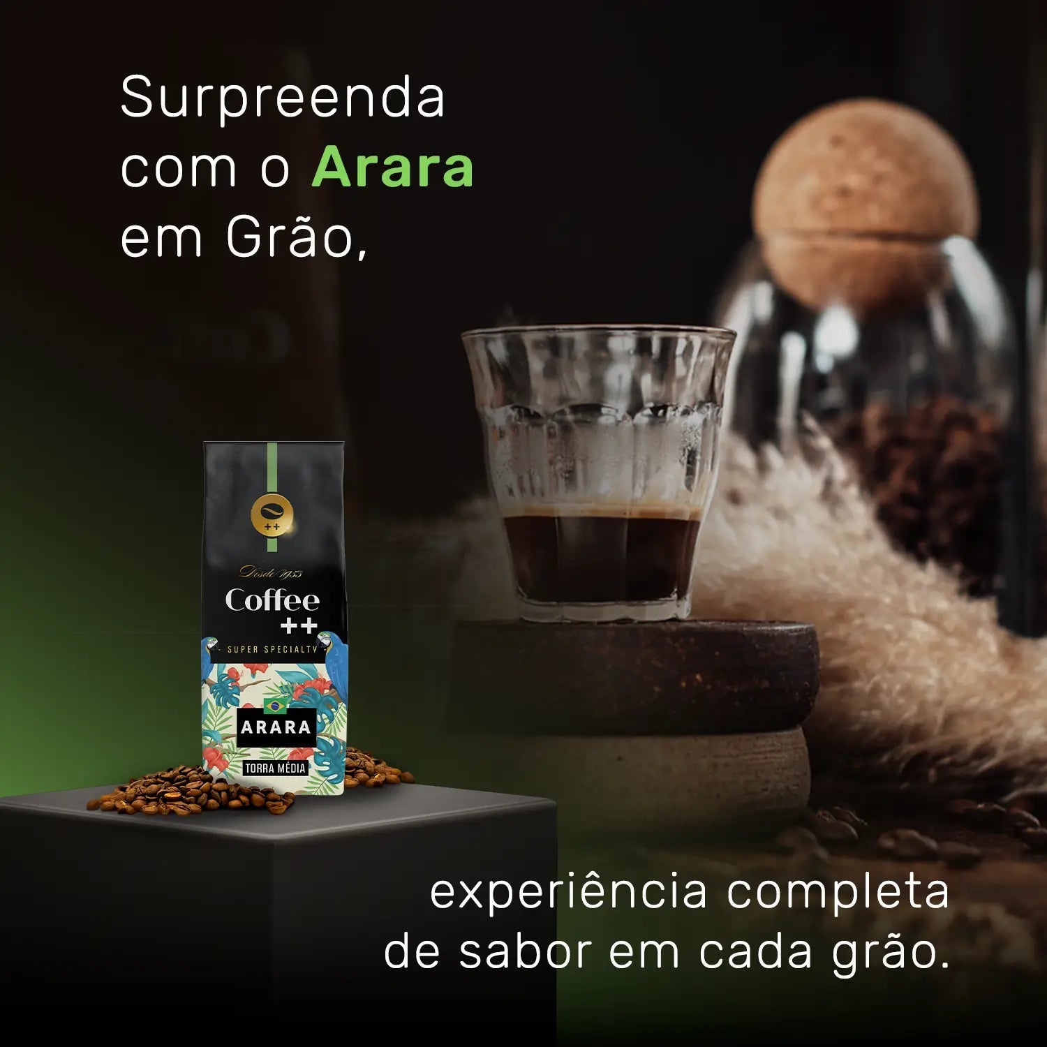 Assinatura Café Arara | Grãos - 250G - Coffee Mais