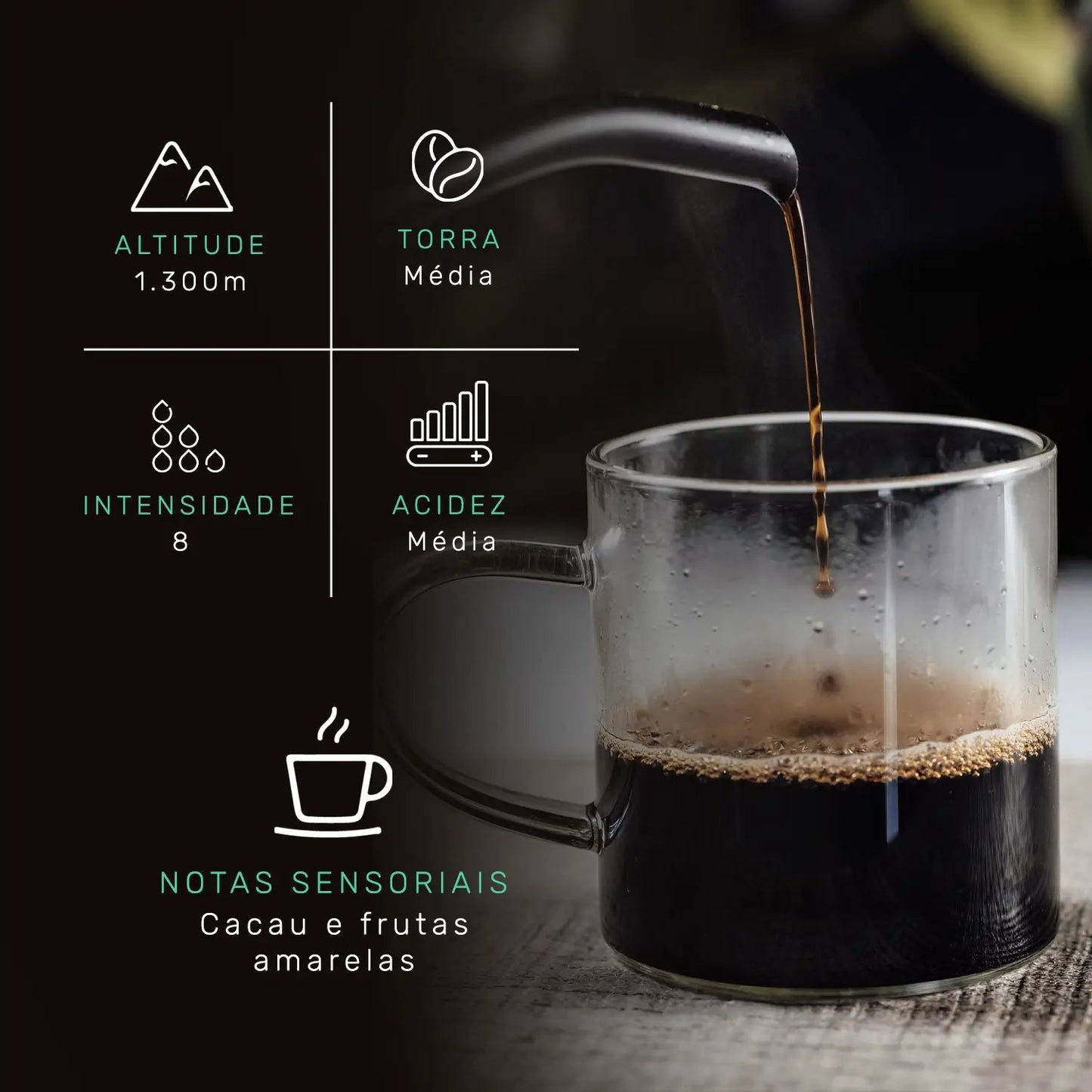 Assinatura Café Caparaó | Drip Coffee - 10 Sachês - Coffee Mais