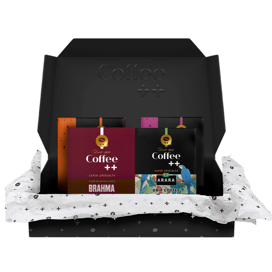 Kit Clássico Arara Geisha e Brahma | Drip Coffee - 40 Sachês - Coffee Mais