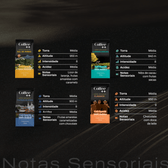 Kit Fazendas e Clássico | Grãos - 4 Pacotes - Coffee Mais