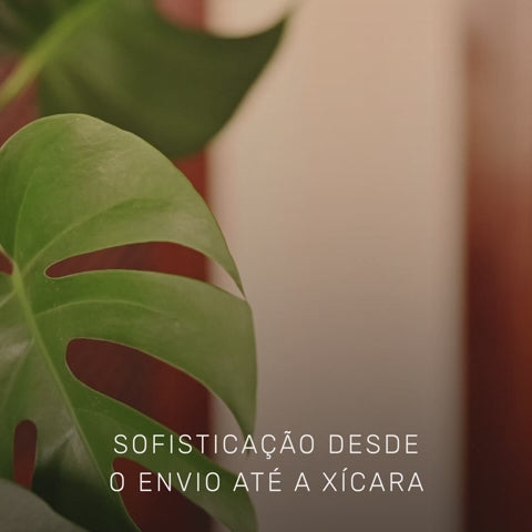 Café Cerrado Mineiro - Coffee Mais - Vídeo Drip Coffee