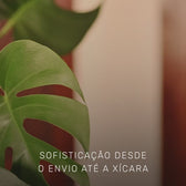 Assinatura Café Sul De Minas | Drip Coffee - 10 Sachês