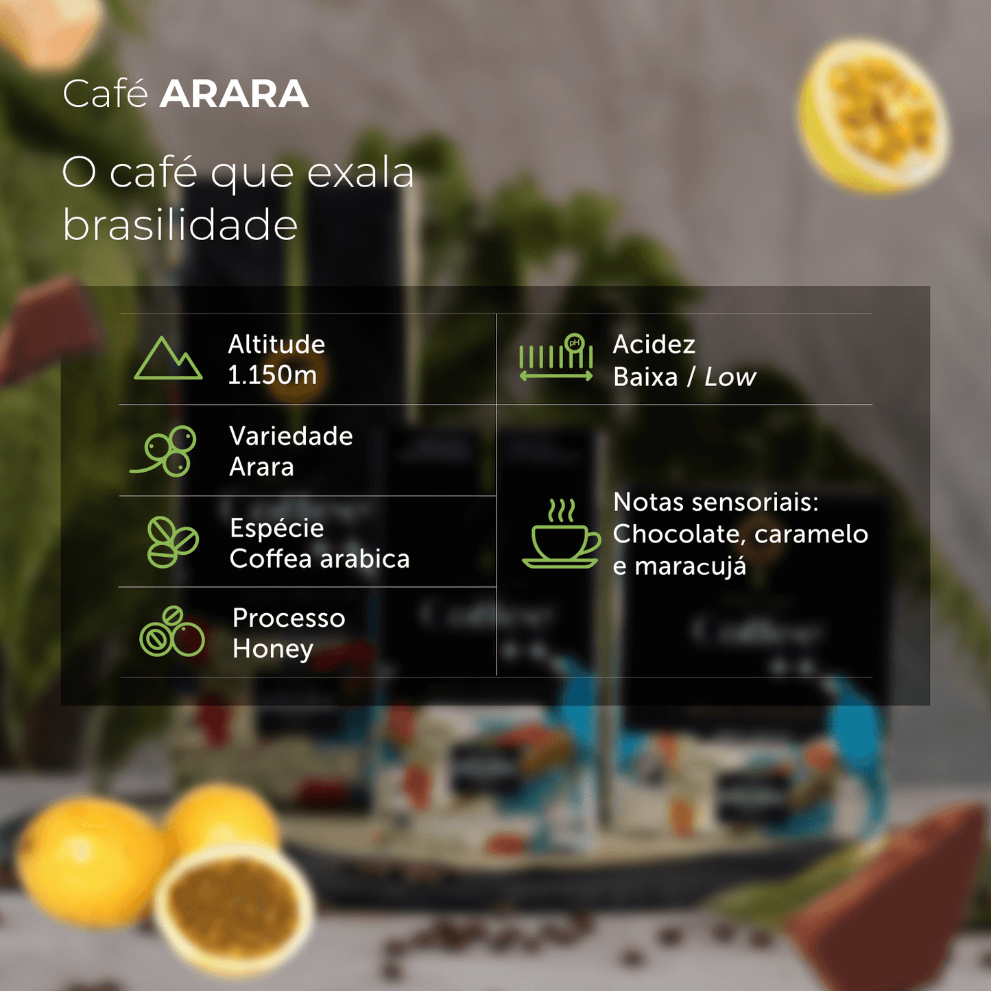 Assinatura Café Arara - Grãos 250g